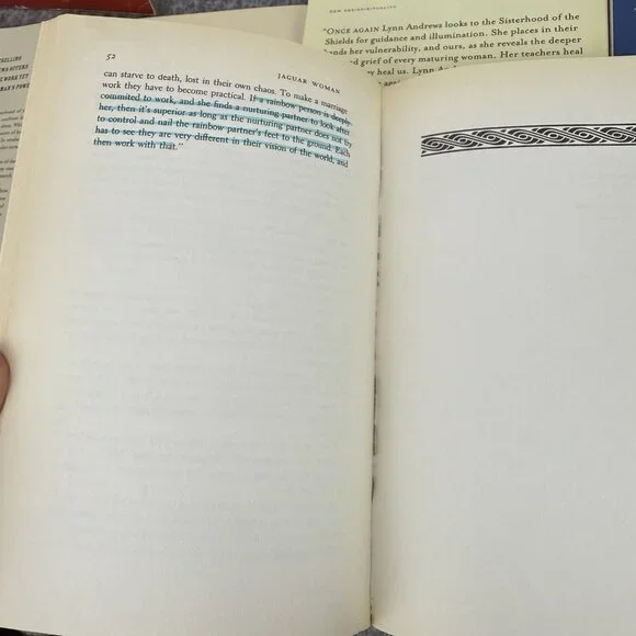 ✅Mixed Lot 9- Lynn V. Andrews PB Books Native American Culture Spiritual Journey - Picture 8 of 8